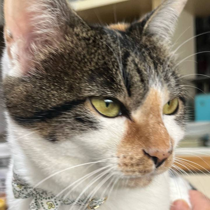 75f1976e 1f2b 4825 b9f7 1c249bb0eca1 1763453062687