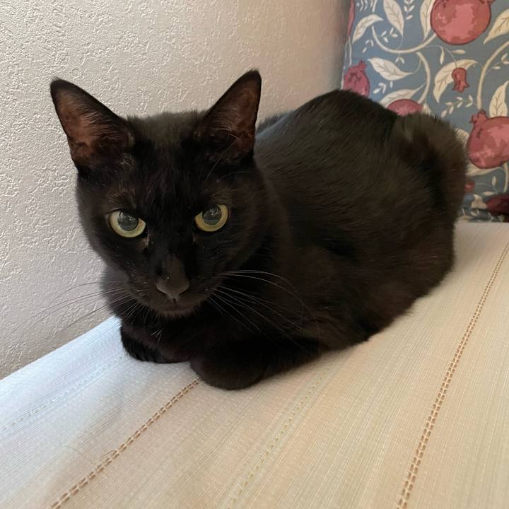 75f1c39a cfb5 49eb 94c9 cd80c7d9825b 1752368651844