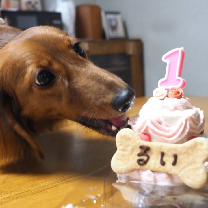 75f1cae8 6b20 4044 afc4 92c80984501a 1720061325150