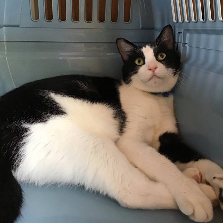 75f1f338 2b0f 499b a5f2 4e2de73f3f56 1756536176364