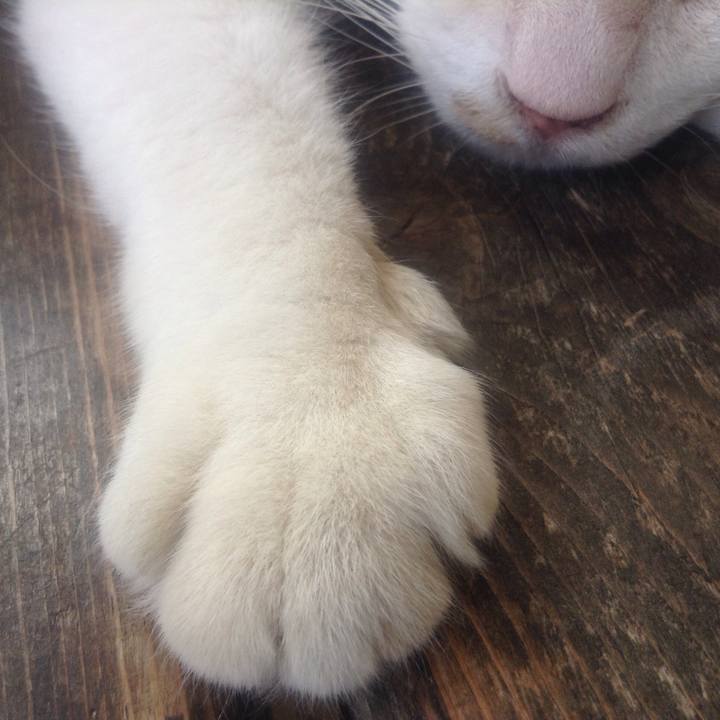 75f20bcd bff1 4190 bcd9 c7f183922c27 1532236837169