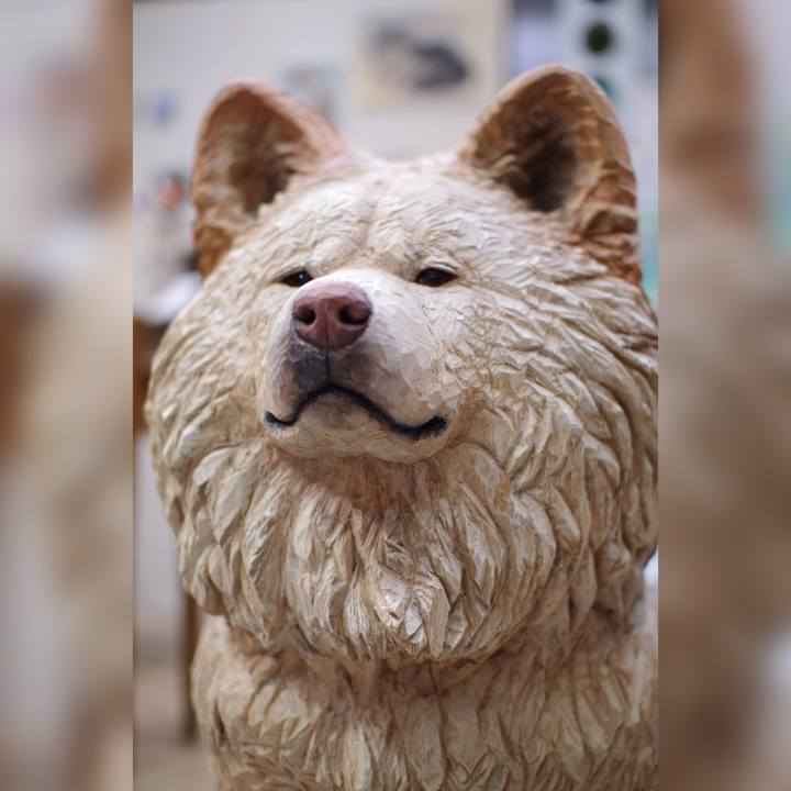 75f2259f b79b 42cd adee 7fd05995fed7 1633088638136