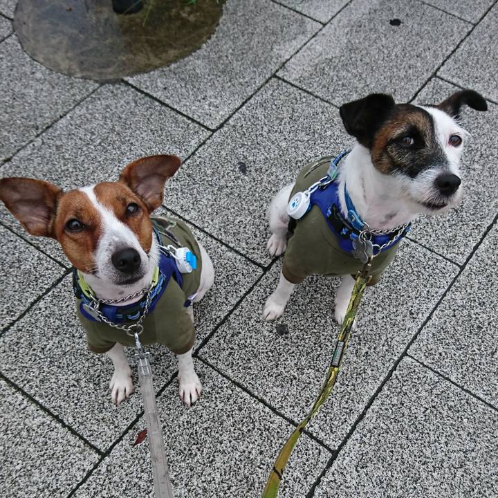 75f26544 b677 4bda a14f 1b0dccb325ac 1561844324519