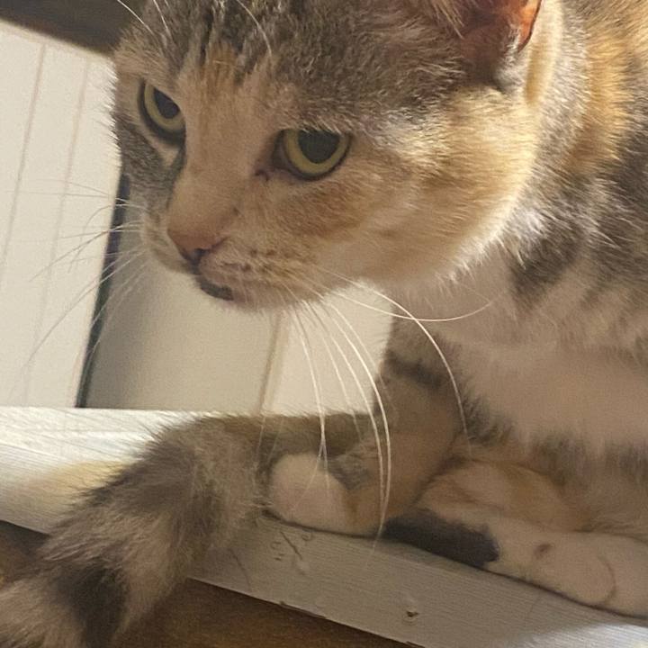 75f26b94 0c3b 4c4e a75b e0b6269d722c 1613405472303