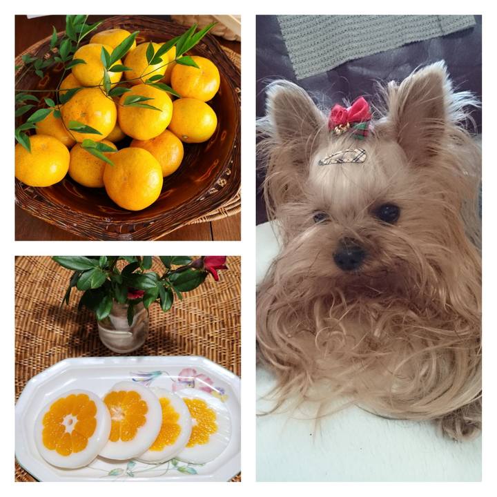 75f2a6d3 572c 4143 a0a2 37751a439228 1698405570594