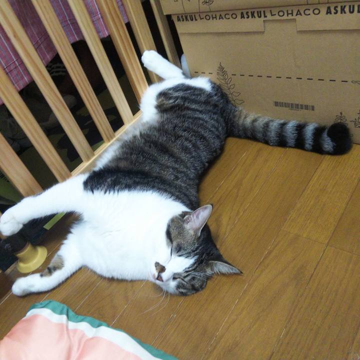 75f2e968 5890 45bf 9030 7574192e9828 1664884400177