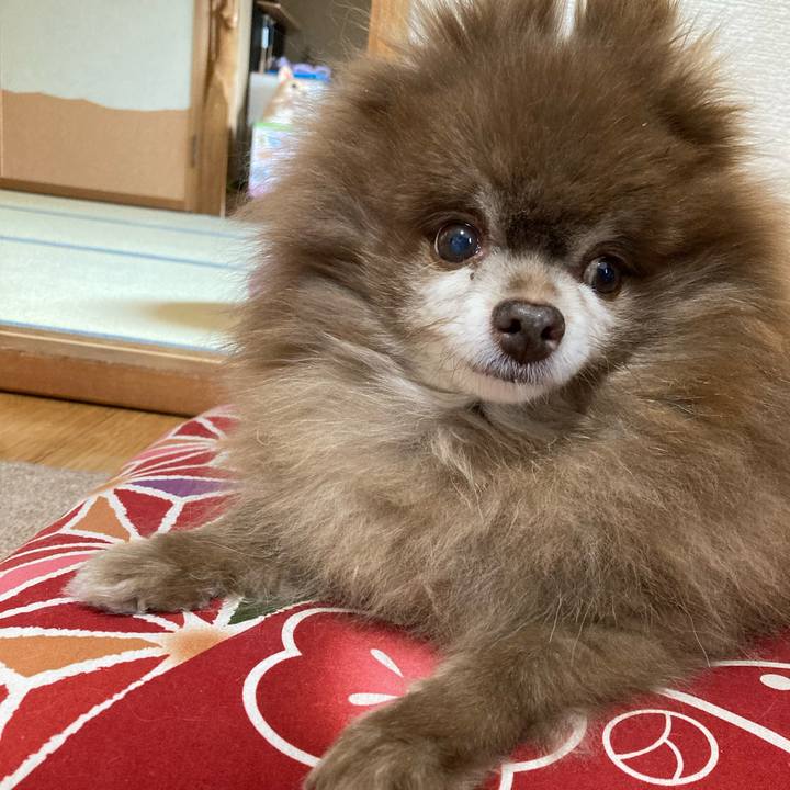 75f2ecba f683 447d 868a 6f84a0d206b1 1738452270714