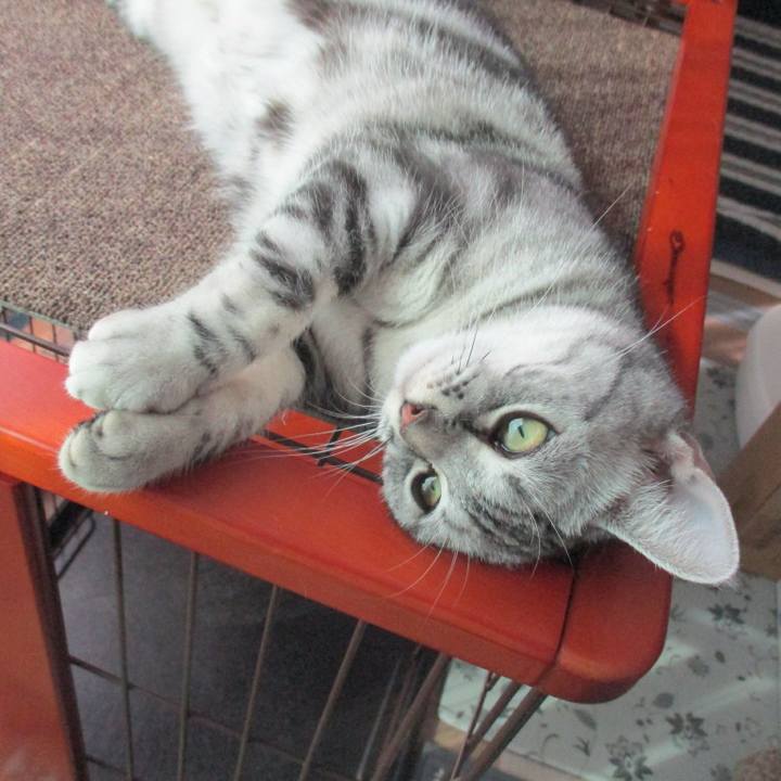 75f2f921 6fe1 4580 8f87 2ee7911863a8 1558833844114