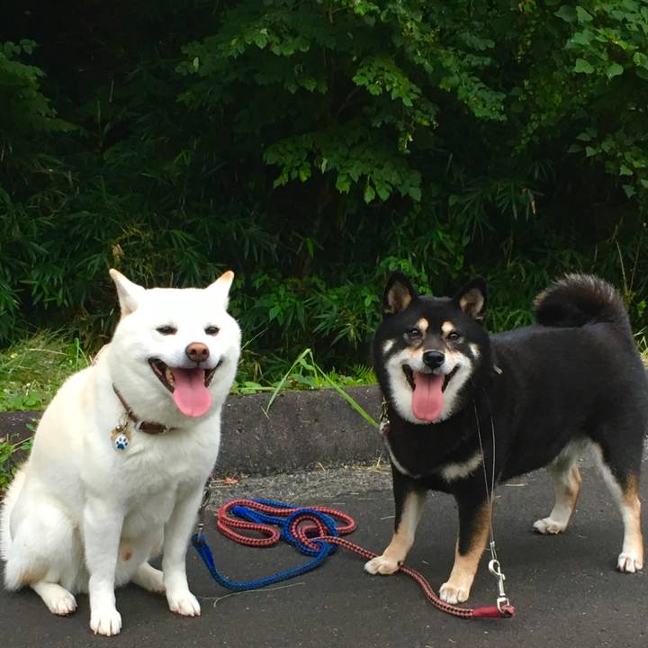 75f325ef ba89 4f49 96c9 541096ffbe66 1566122257791