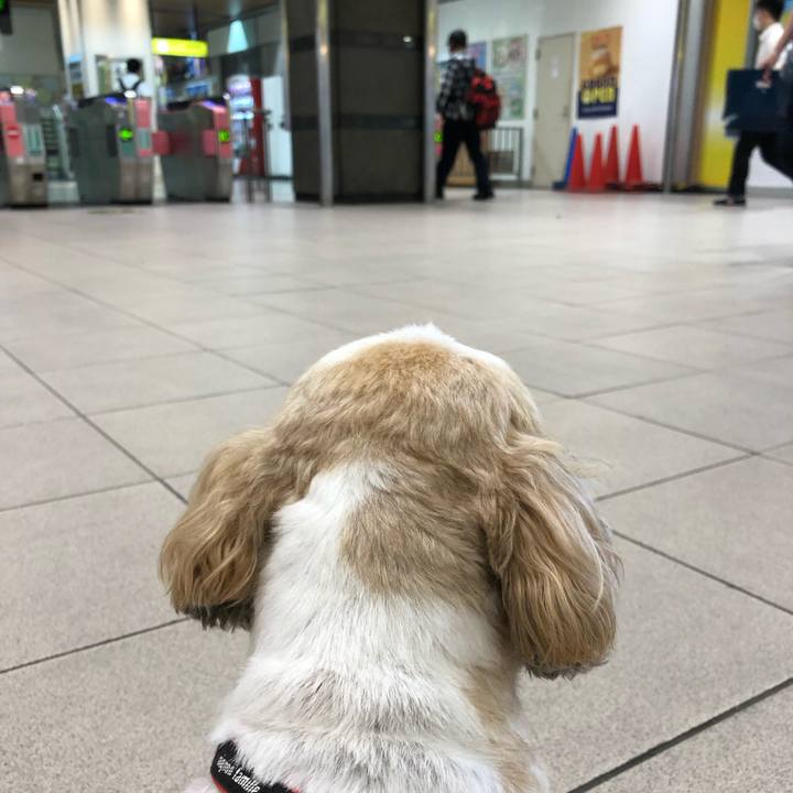 75f34571 a951 4c25 8db5 529cde9d9b47 1565300918320