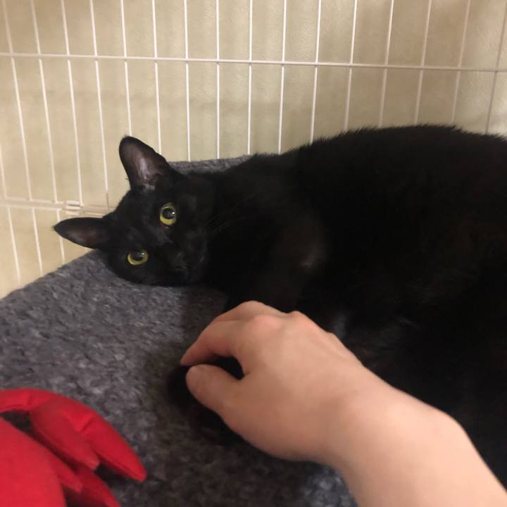 75f367db 705d 4b88 acd8 9e038501d472 1557063471684