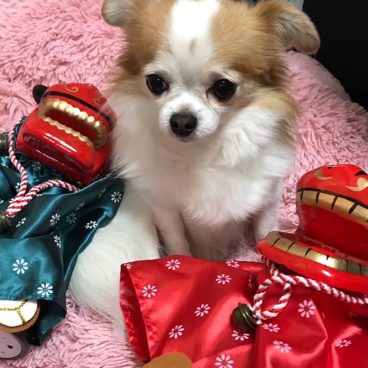 75f381b1 7075 4a0a a357 af234f81903f 1546315045420