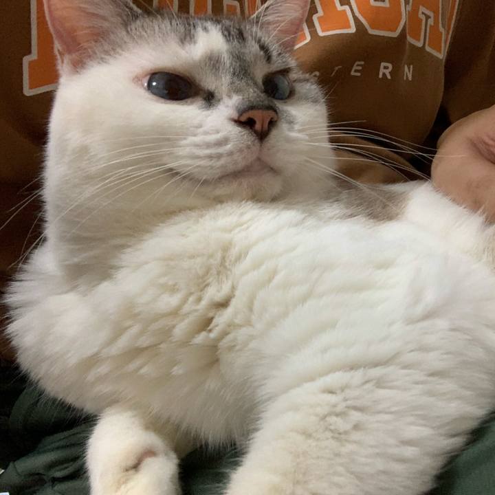 75f3cd17 8f3f 42cd 8604 d1835920327c 1634003917019