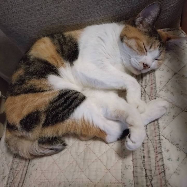 75f3e1a6 c197 4567 8c7e 3619cebf4f85 1757332920545