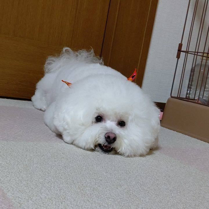 75f3ece0 f04e 476c 96fa 46202e0b1649 1635310402190