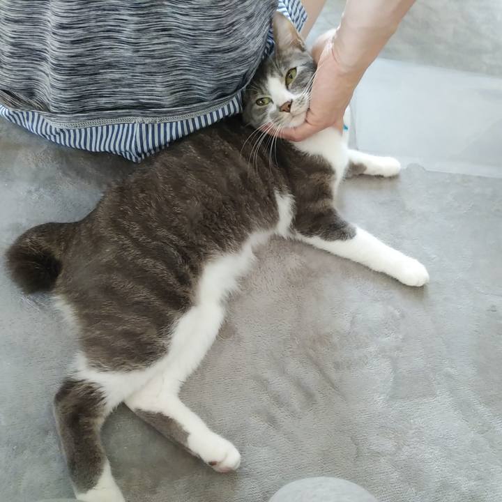 75f401bf 0d46 4af5 8d09 777f43777202 1588892098720