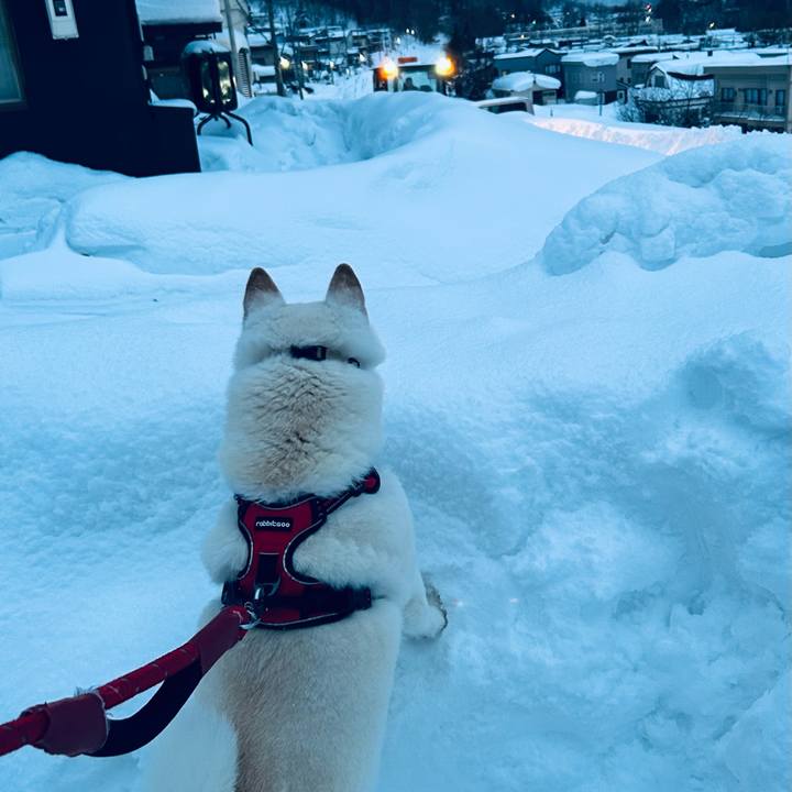 75f4613e 9aee 4ec2 a7f1 914de54c3e93 1706308221151