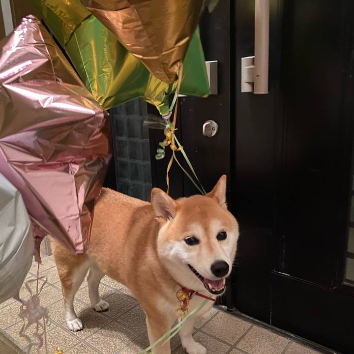 75f4732e b862 4298 84b5 e9f22848e810 1598537951714