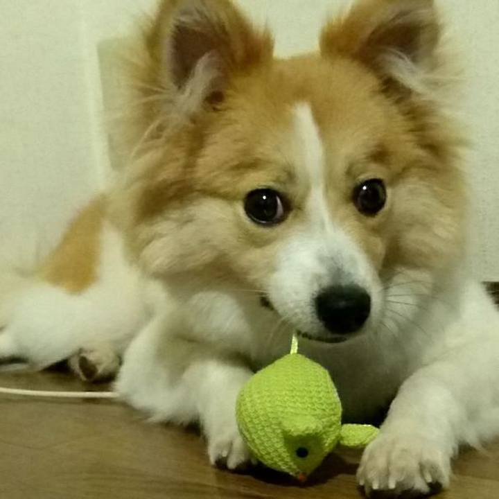 75f479c3 9f23 4ac6 8f33 3cd278d0ada7 1572352224982