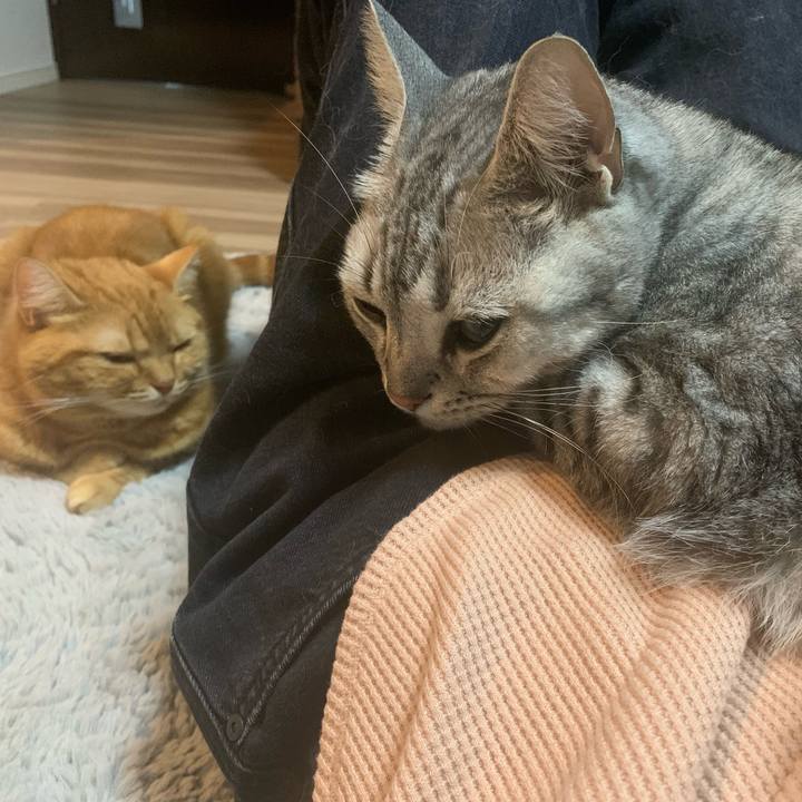 75f50a98 ce17 4b1f 95ea 6a878de49fdc 1665660869759