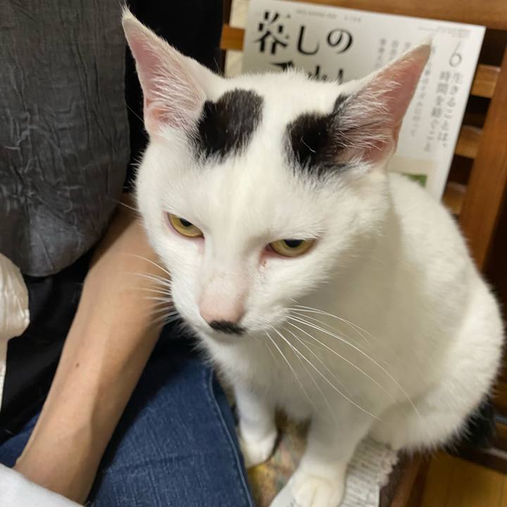 75f51655 31e1 4cb2 b7cd 3c08e7bf9e4d 1593866879751