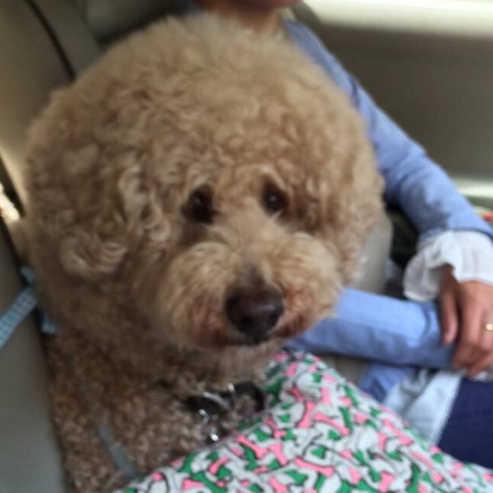 75f5a890 bb30 4fe9 99b7 bc5702ee3ef4 1515767137583