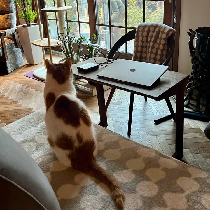 75f5a98d b4e2 478d ab93 334322354947 1767420276197