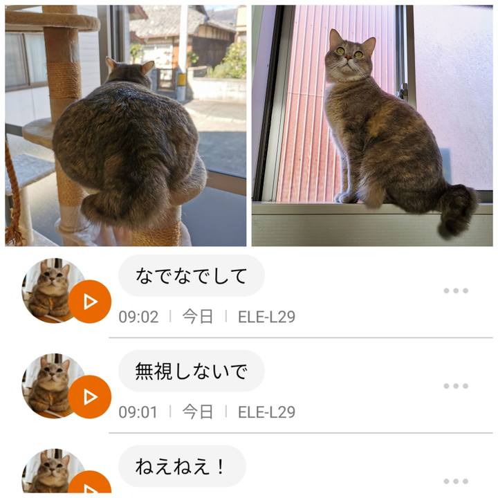 75f5bd3c 04ff 4833 922d 07c18e7021d5 1634543293611