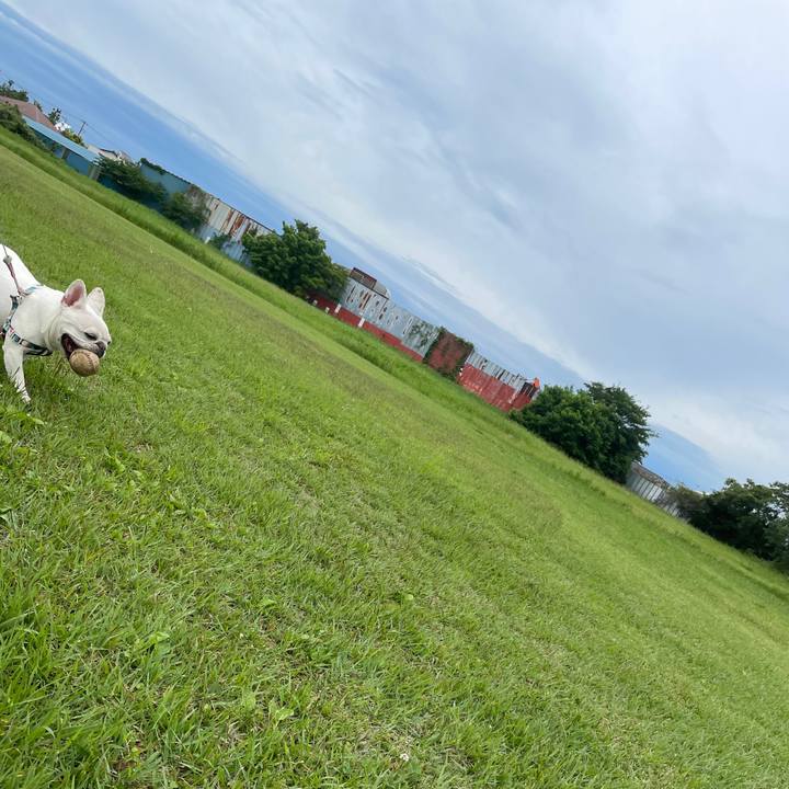 75f5dca4 3e38 4f9f b773 c9433e4ff842 1747874575886