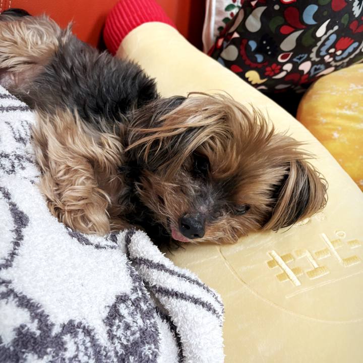 75f5fac6 4329 4938 8cc9 7249f4ba4595 1741153233657