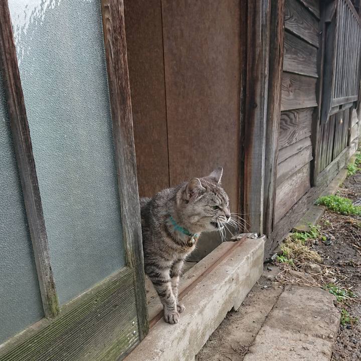 75f6258d 85cb 432e b93b 7f11122c0ea6 1571448003799