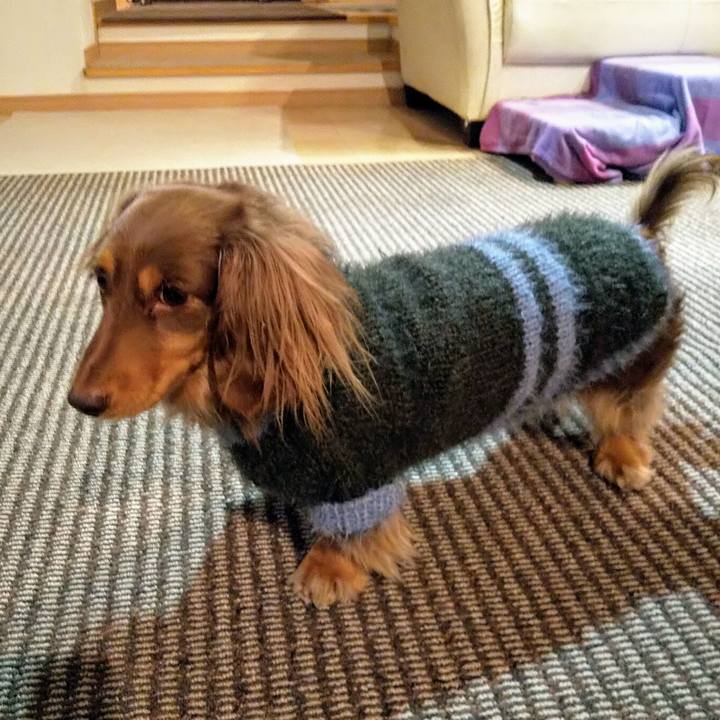 75f62a22 c87f 4131 8cdd 9499fbe6e735 1579531641116