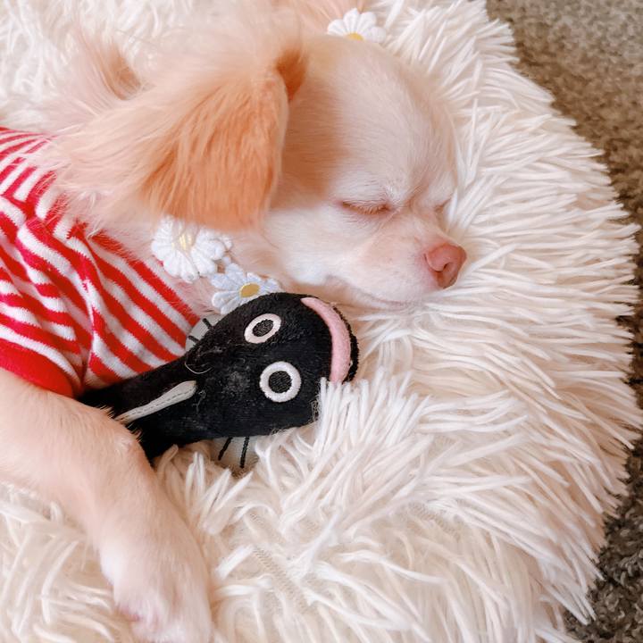 75f657d2 6d15 457e a73c fcff7ec79453 1659363164474