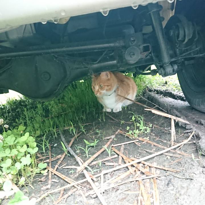 75f66b31 e00b 4eef bddd fc6da25c4b78 1594681428090