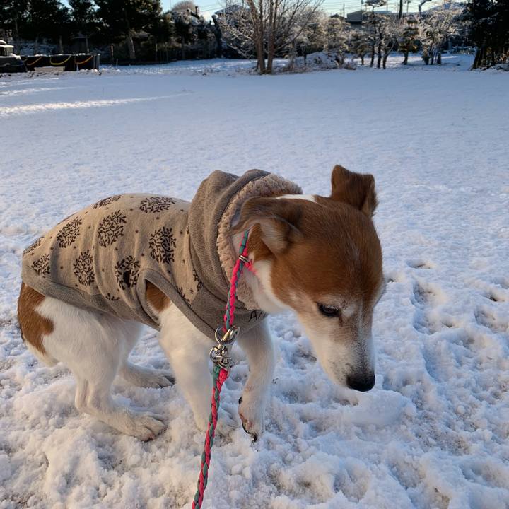 75f68eed b1ea 49b4 9fb0 b8c6048191ec 1548993449582