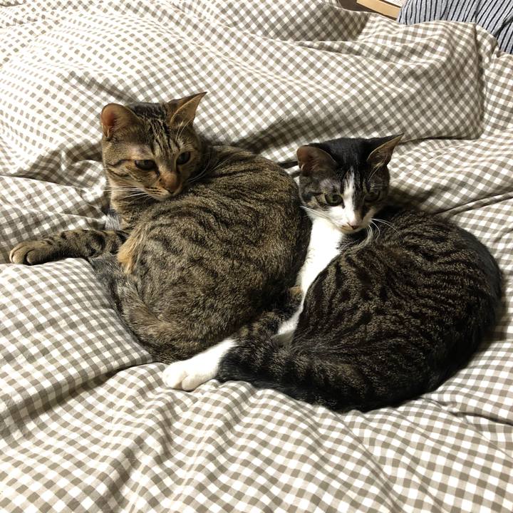 75f6d82a 3fea 4fae b250 bde2c25c1537 1520429113587