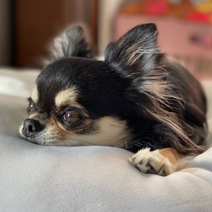 75f6ee3c 4568 47e6 9767 1e5f4c12c0ed 1641608232445