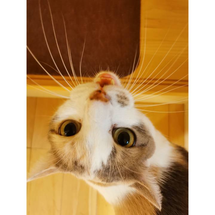 75f6f05c 2c9a 44c3 b6c0 6ccfa3439e73 1629445773297