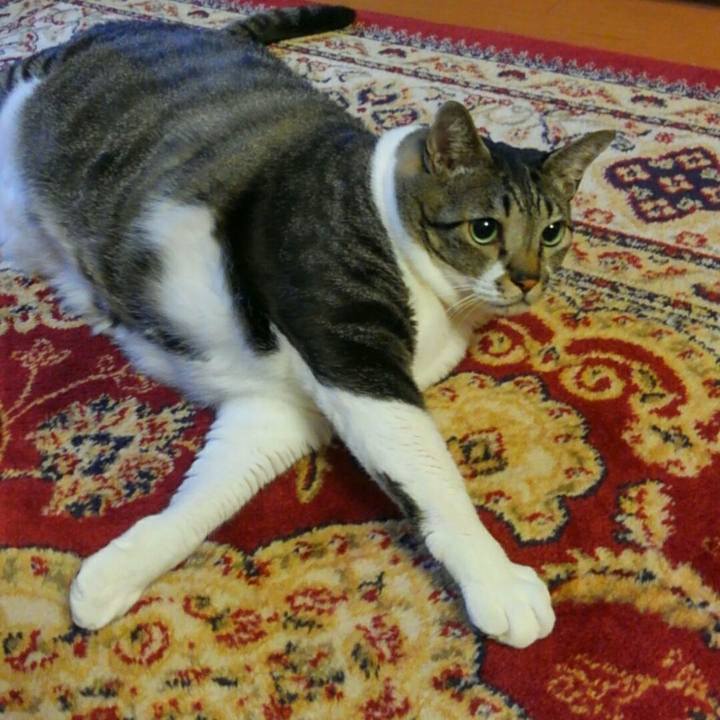 75f768e2 8c80 44af 8385 c1d94c43e523 1509234943001