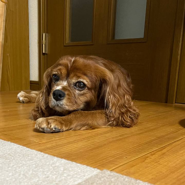 75f77a41 e642 40b4 8c0c db202c82ed19 1661206715750