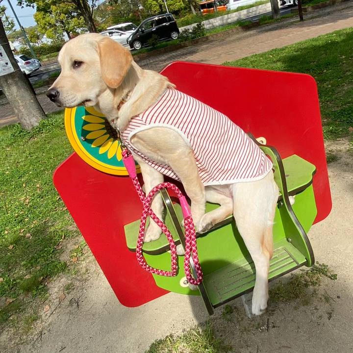 75f7c1ef f1b1 4b20 8a0d a33c9c537fe2 1618064340173