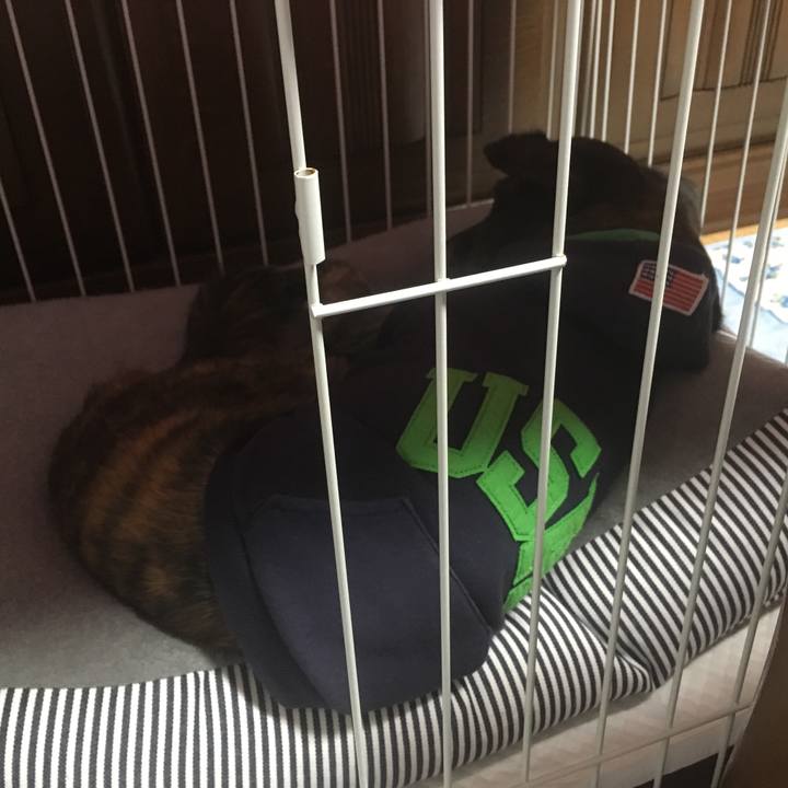 75f7ca61 55d3 4a6b a34a 376ec19592a1 1539870533339