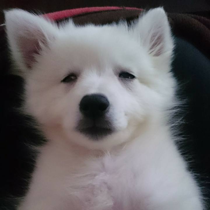 75f7da78 17ba 4cdf bd80 36645b3bd73a 1517965419679