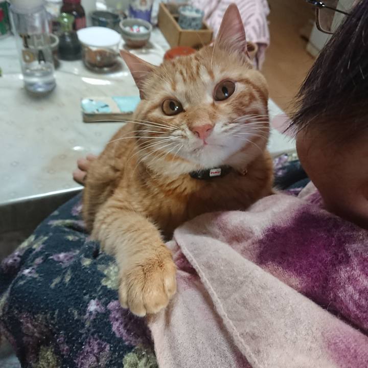 75f82674 ed96 4a22 9829 57c6993dd959 1645394773939