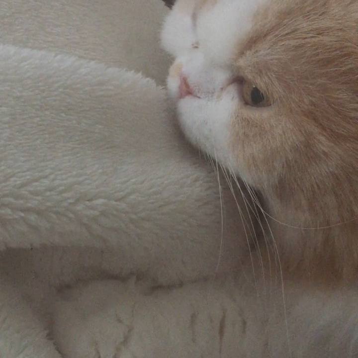 75f85b12 038a 45cc bb6e 77eb714a0e39 1587334667747