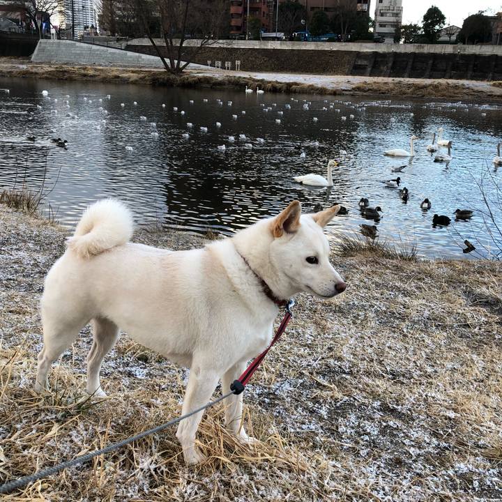 75f85da7 7bed 4cf5 ad95 0337133a25a9 1549930867760