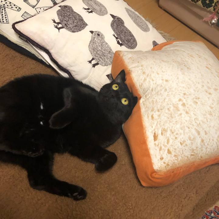 75f8d392 d780 4b7f b14d 82d3dd845167 1551443736101