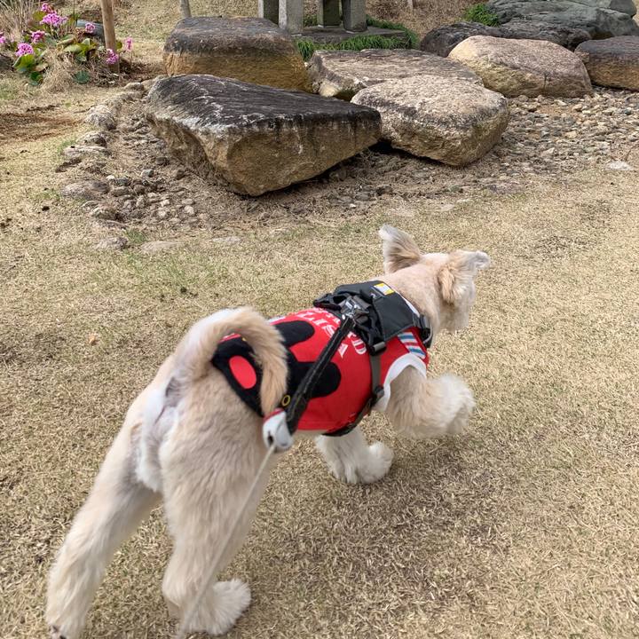 75f8f805 bb68 4e98 8665 b4a8ed89dcea 1584011895399