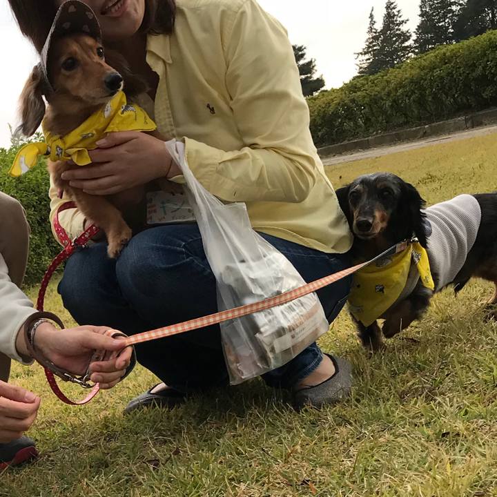 75f903d1 157e 4f71 a4d9 9f22f407e1d8 1509840612589