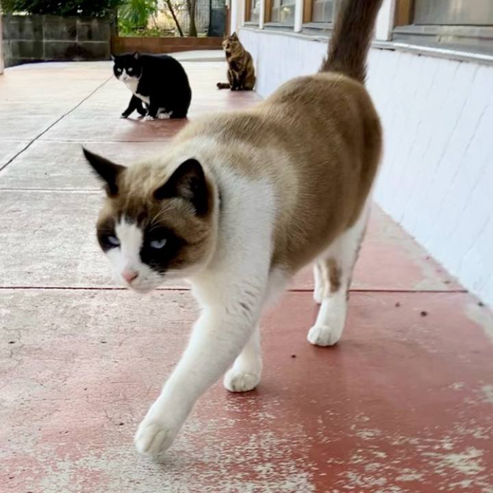 75f92e03 5460 429b a222 b42d48416333 1739706417398